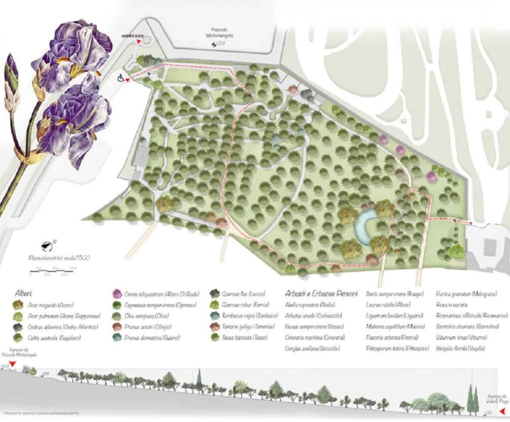 The Iris Garden in Florence