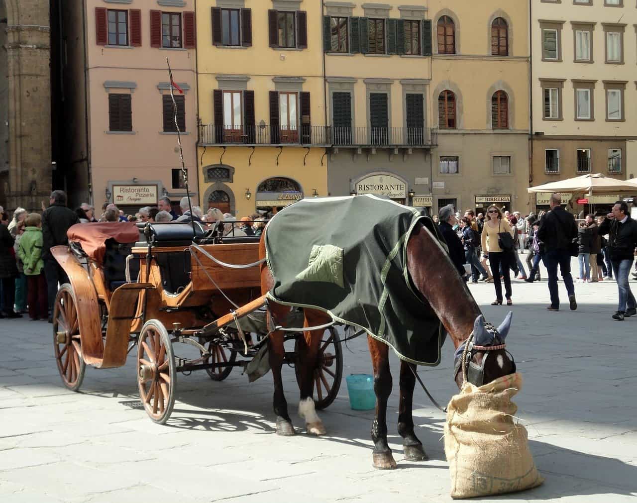 florence tourists