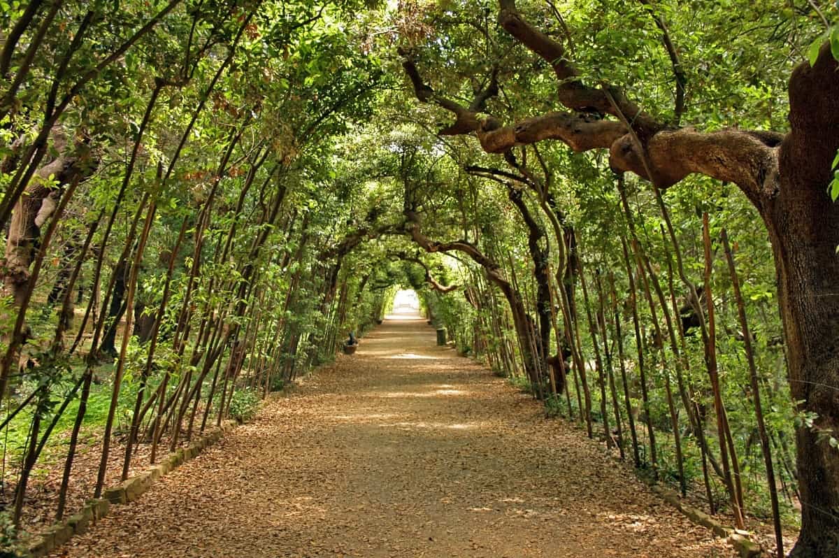 Boboli gardens in Florence