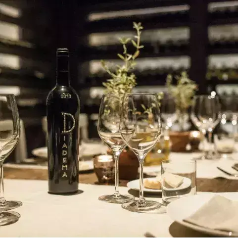 Wine making experience with winery tour and dinner in Chianti
