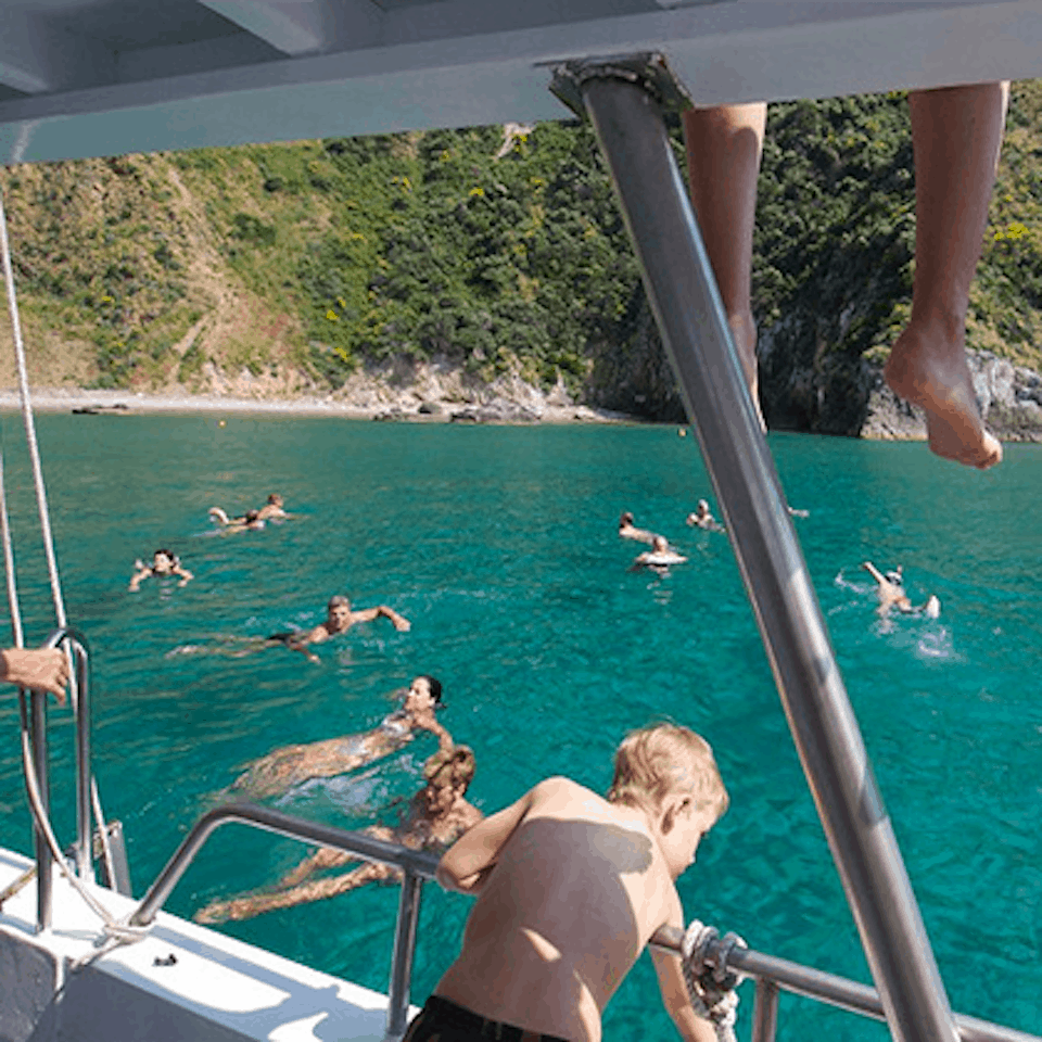Day Trip from Rome to Ponza Island with full day boat excursion and lunch