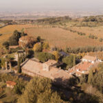 degustazione di vini frascati con ritiro a roma