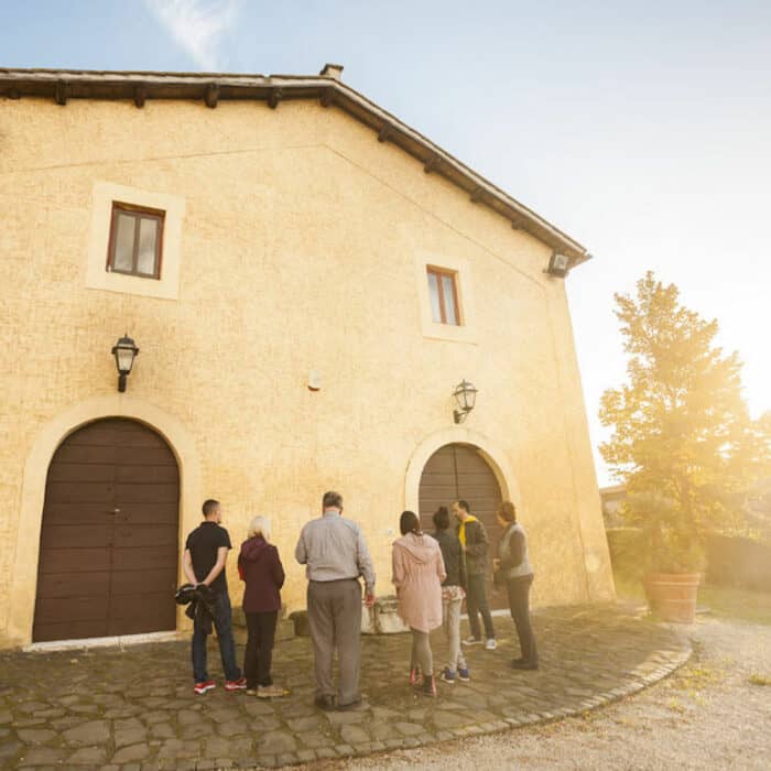 Roman Countryside Vineyards and Wine Tasting