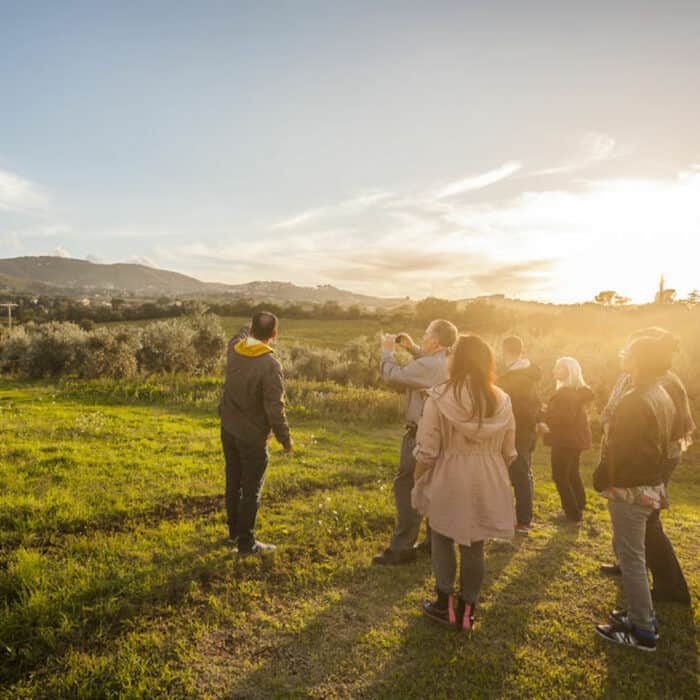 Roman Countryside Vineyards and Wine Tasting