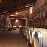 From Florence: Chianti Half-Day Afternoon Tour1