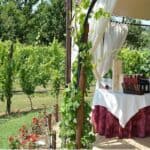 Tuscany: Vegan Meal in a Winery of San Gimignano4
