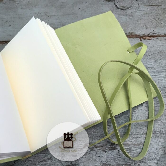 Diary and fountain pen
