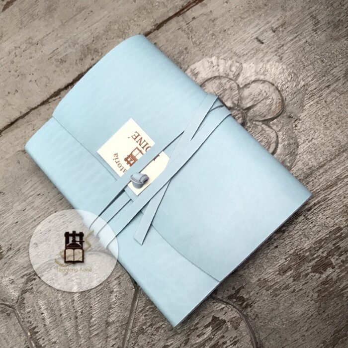 Diary and fountain pen