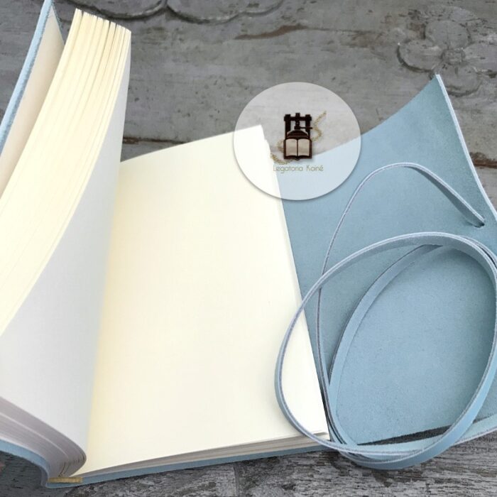 Diary and fountain pen