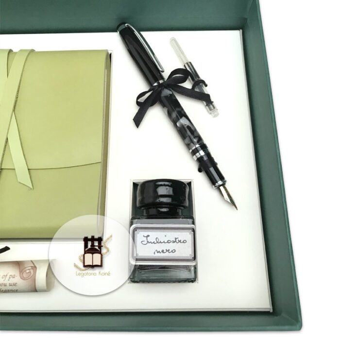 Diary and fountain pen