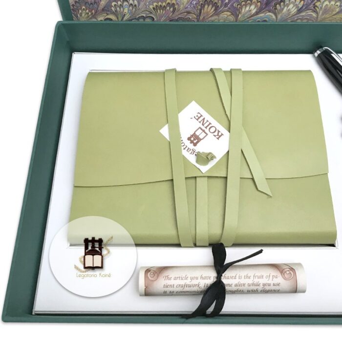 Diary and fountain pen