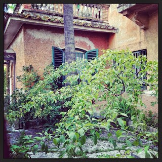 citta giardino roma