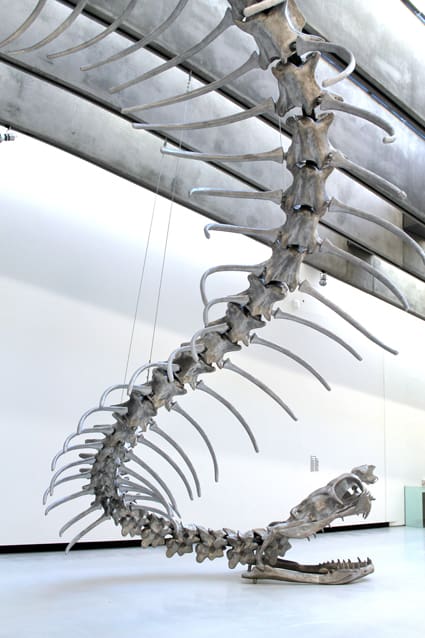 Huang Yong Ping: Bâton Serpent