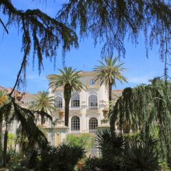 orto botanico The Ultimate Guide to Rome’s Trastevere Neighbourhood. Best restaurants, bars and things to do in Trastevere.