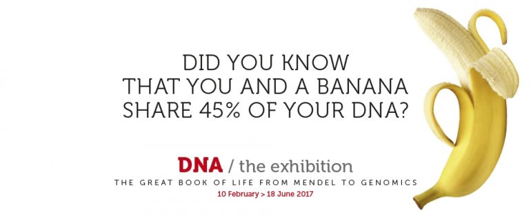 DNA: the great book of Life, from Mendel to Genomics at Palazzo delle Esposizioni