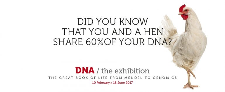DNA: the great book of Life, from Mendel to Genomics at Palazzo delle Esposizioni