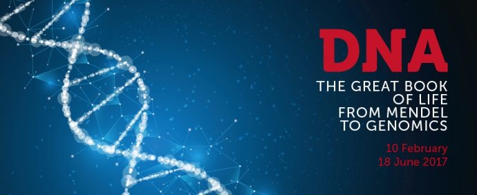 DNA: the great book of Life, from Mendel to Genomics at Palazzo delle Esposizioni