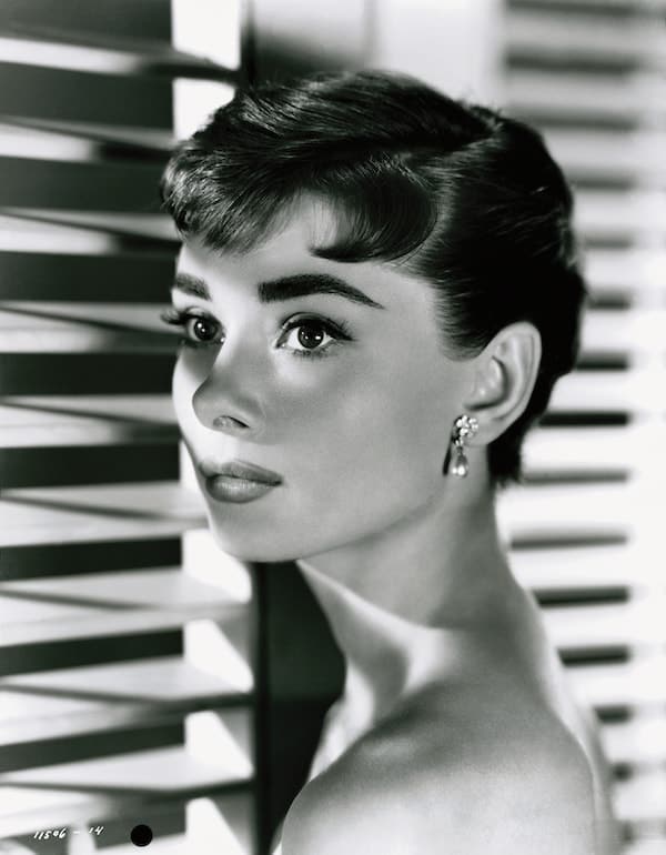 Hollywood Icons Audrey Hepburn