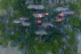 monet complesso del vittoriano