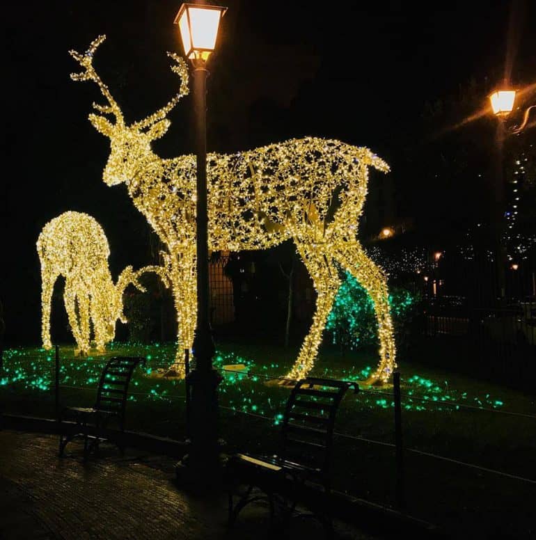 luci d'artista salerno
