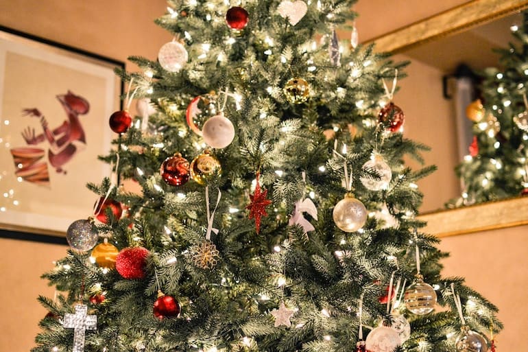Where to buy Christmas trees in Rome