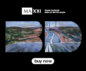 bob dylan maxxi