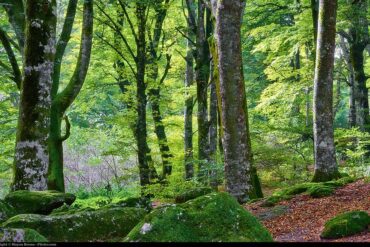 Hiking Near Rome: A Short Guide for Mountain Lovers
