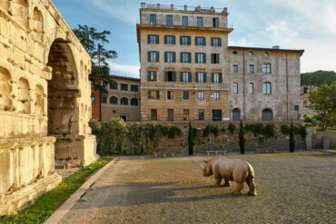 Rhinoceros Gallery in Rome