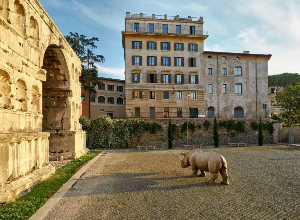 Rhinoceros Gallery in Rome