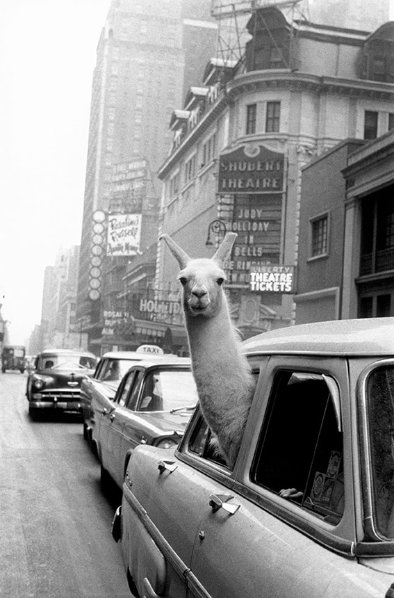 Inge Morath. La Vita. La Fotografia. Exhibition in Rome