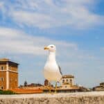 Rome in September: what to wear, best things to do and main events