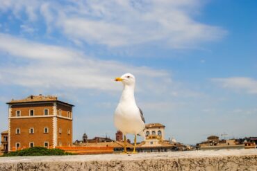 Rome in September: what to wear, best things to do and main events