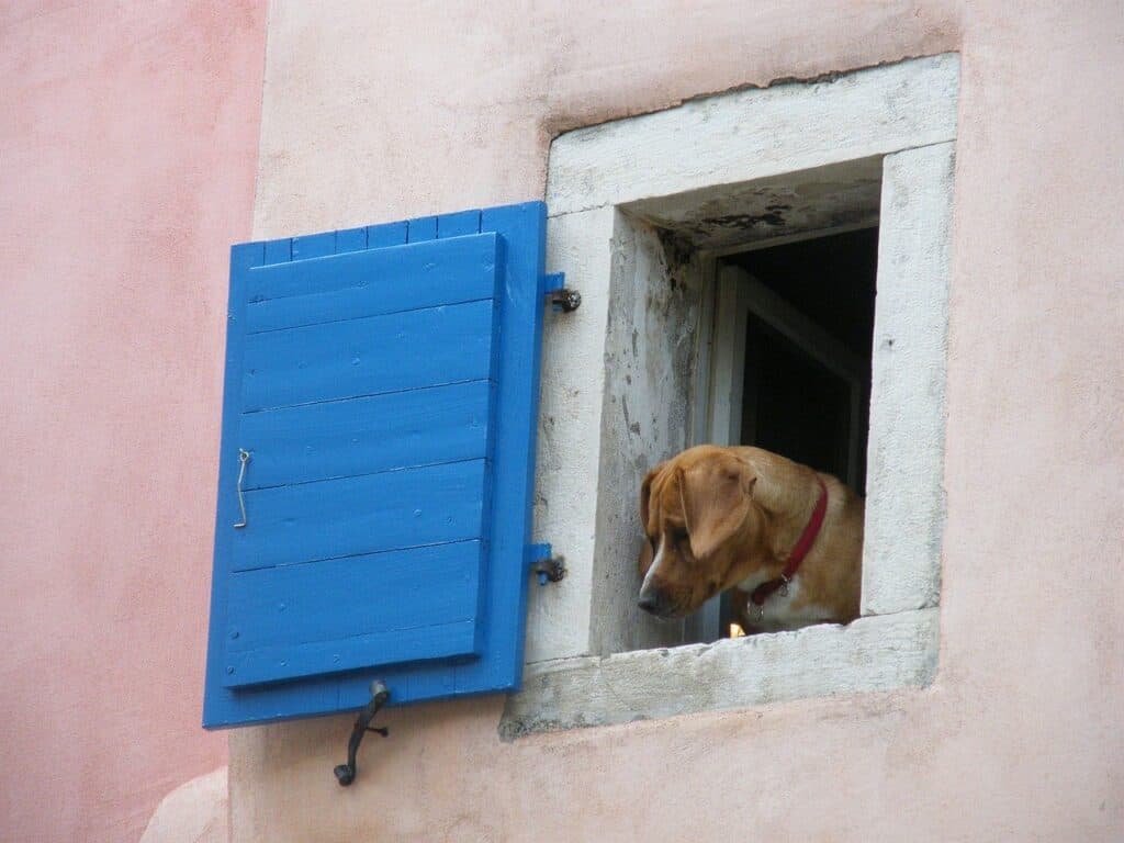 Things to do while you are stuck in quarantine