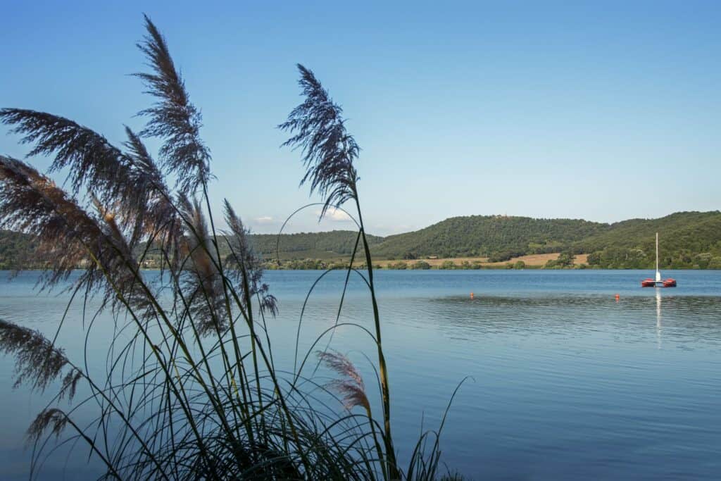 Martignano