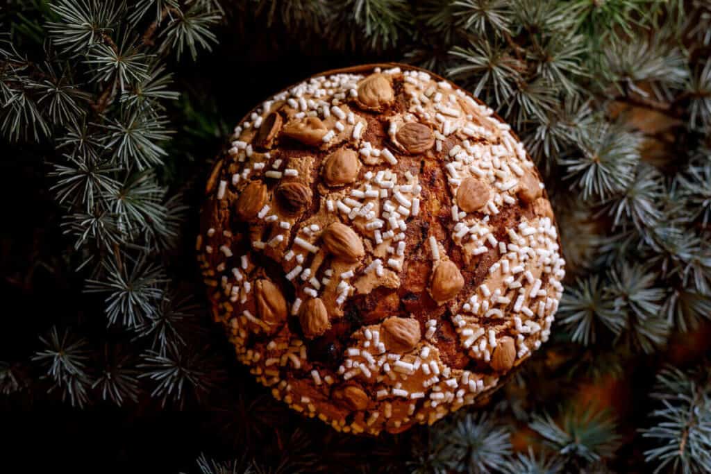 Sintesi Panettone