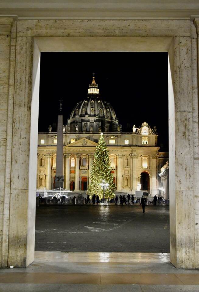 albero natale vaticano 2020