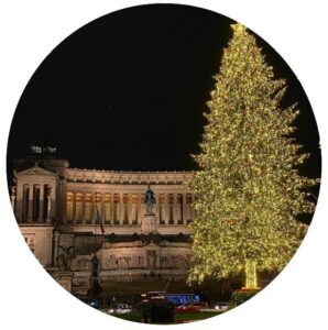 Christmas trees in Rome