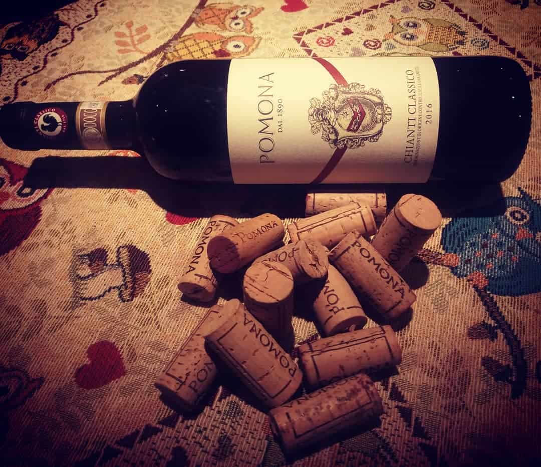 la divina enoteca