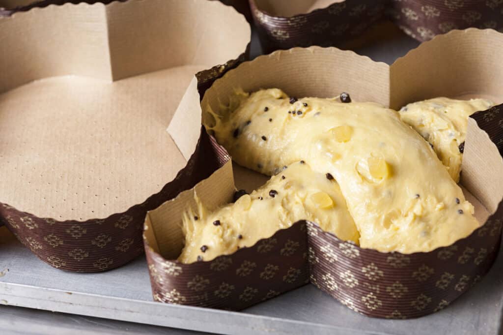 colomba-di-stefano