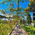 Rome's rose garden