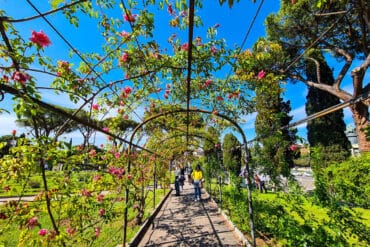 Rome's rose garden