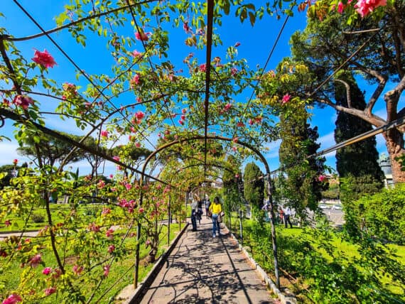 Rome's rose garden
