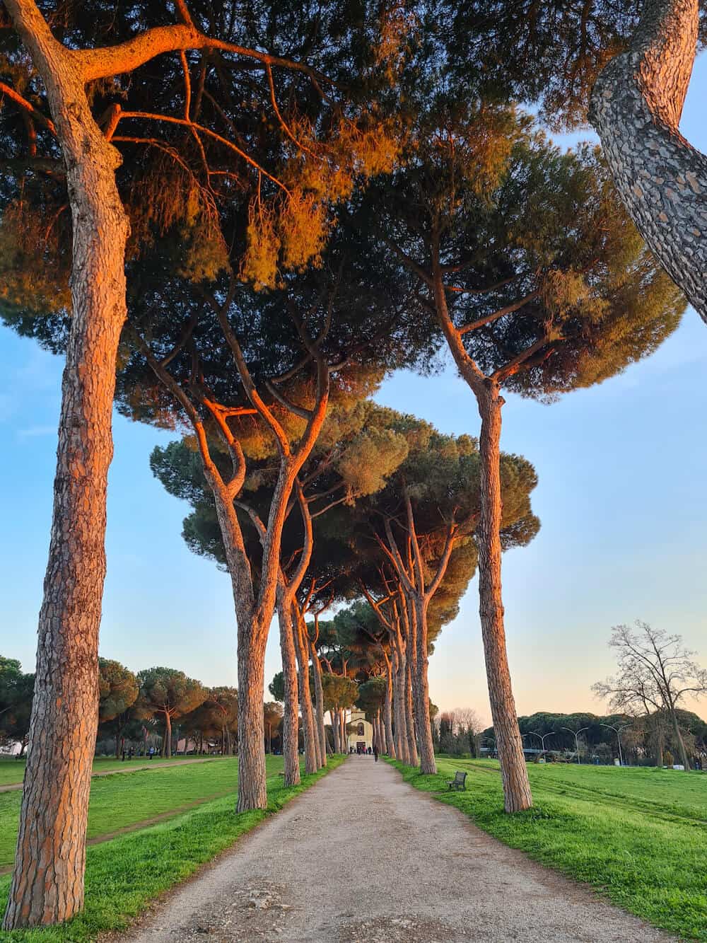 La Guida al Quartiere Monteverde di Roma Romeing