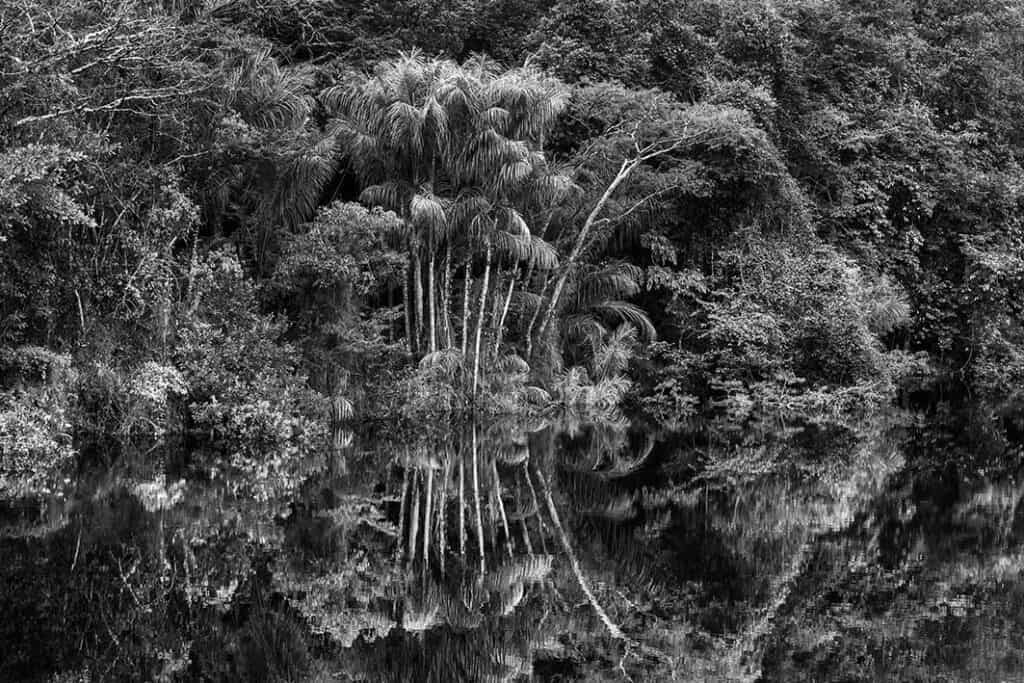 Mostra “Amazônia” Sebastião Salgado at MAXXI