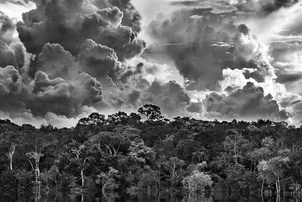 “Amazônia” Sebastião Salgado Exhibition at MAXXI
