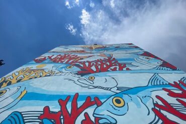 Street art a Roma: i quartieri da non perdere