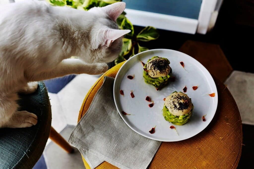 I migliori ristoranti per vegetariani e vegani a Roma