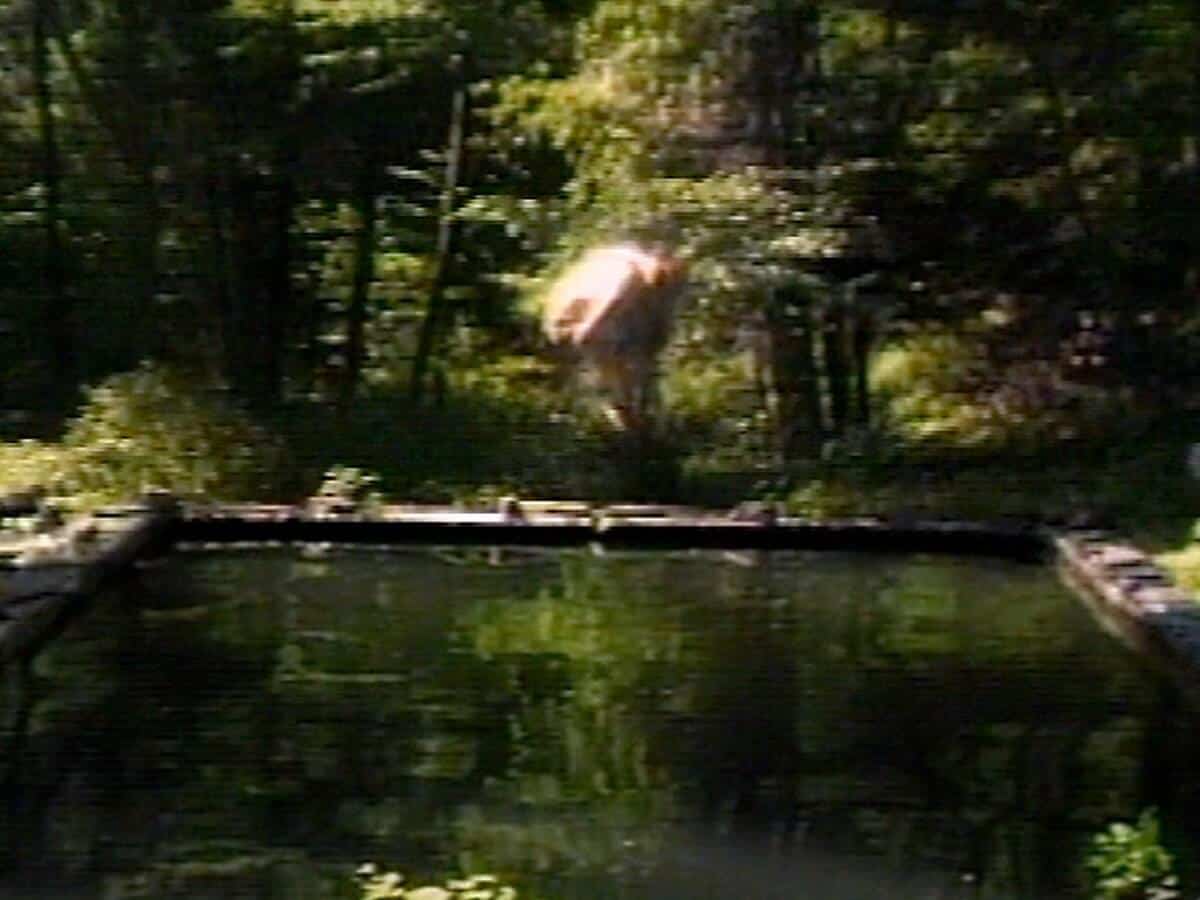 Bill Viola. Icons of light