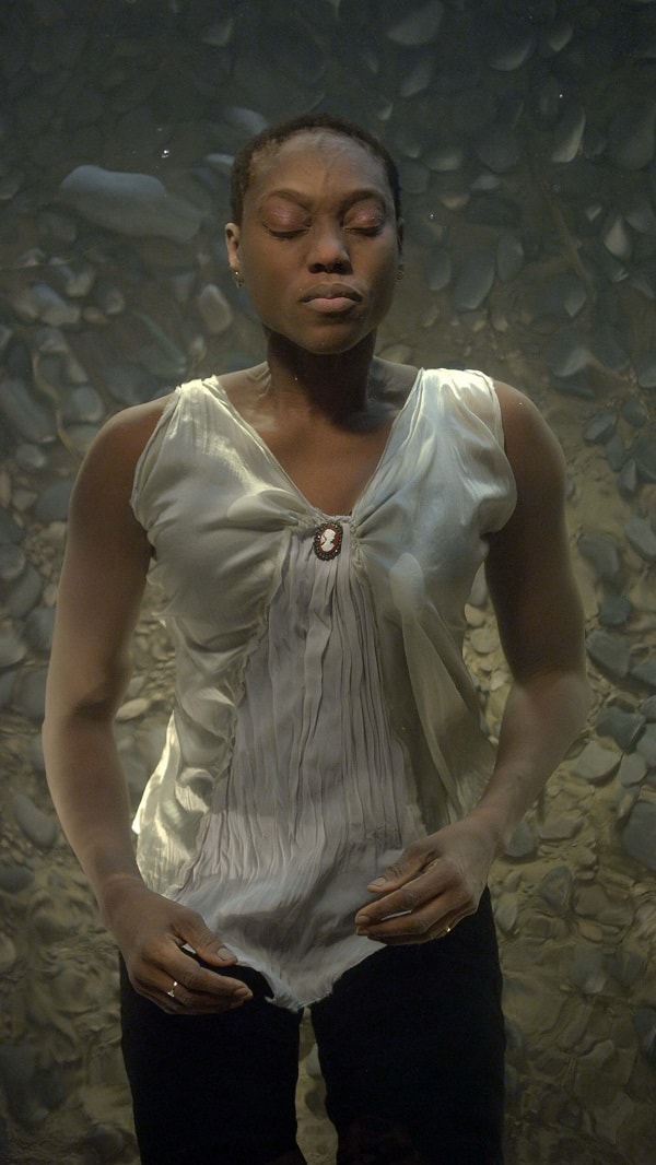 Bill Viola. Icons of light