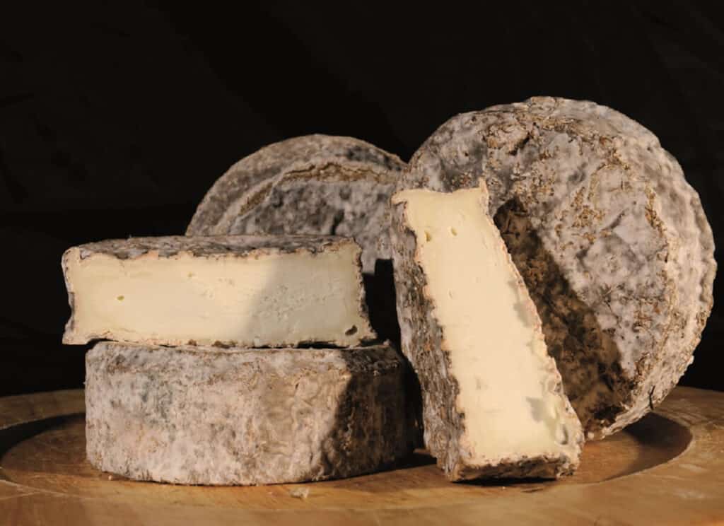 Formaticum, il salone del formaggio e delle rarità casearie Italiane
